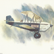 Illustration for article titled Plainlopnik Prints